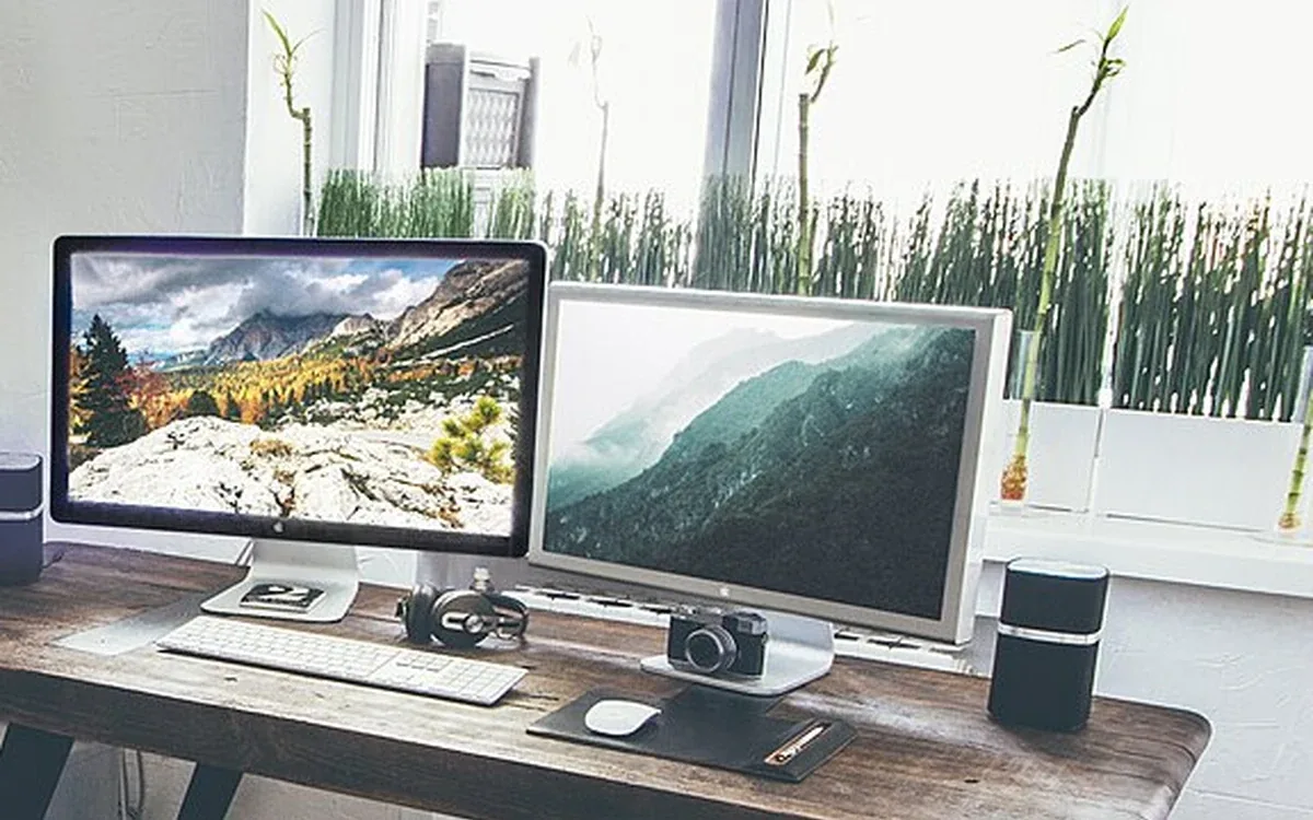A screen showing a landscape and small potted plants stand on a wooden desk