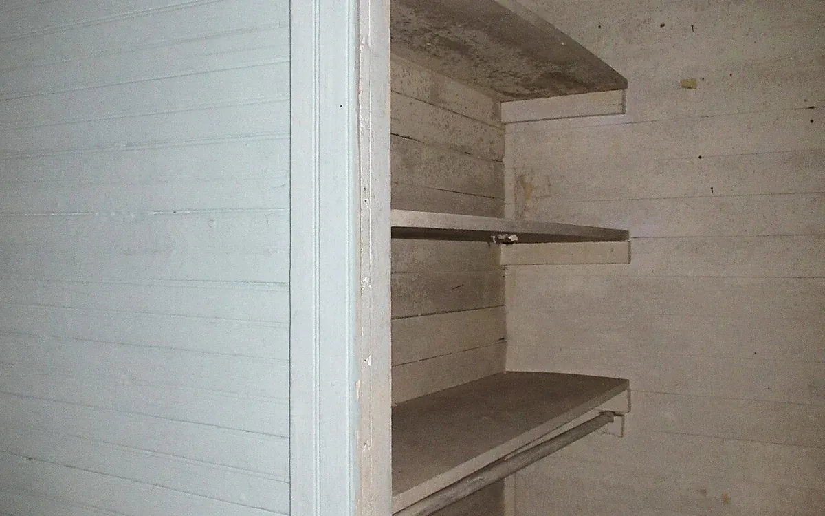 Several empty shelves line the inside of a narrow pale wooden closet
