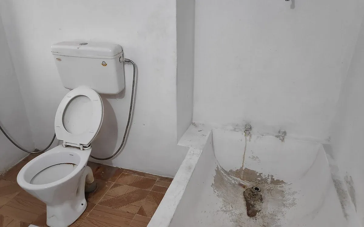 A white toilet stands beside an exposed bath recess and a partly stripped wall during bathroom renovation work