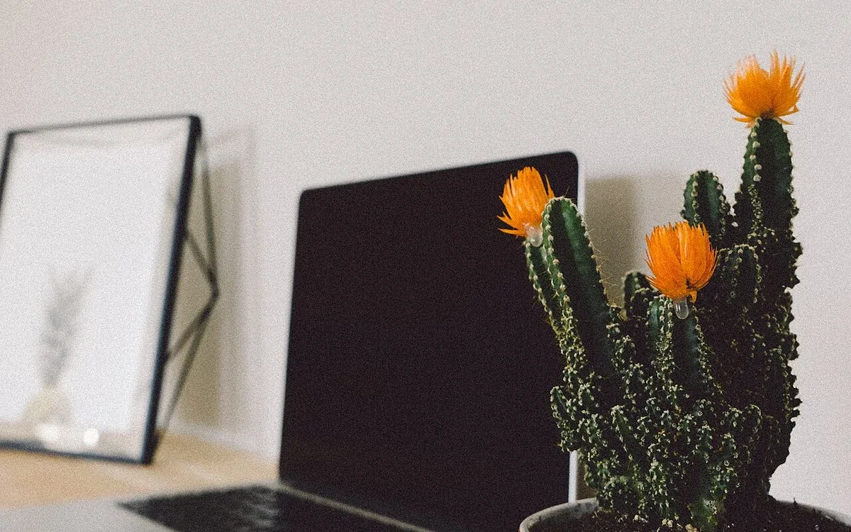 A tall cactus in a terracotta pot stands on a wooden desk beside an open laptop and a framed print