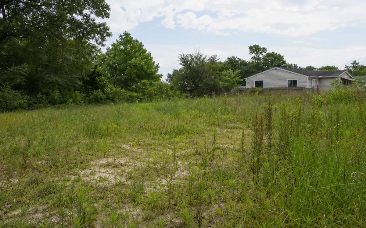 Overgrown vacant lot with tall weeds, bare sandy patches, trees, and neighboring houses in the background.